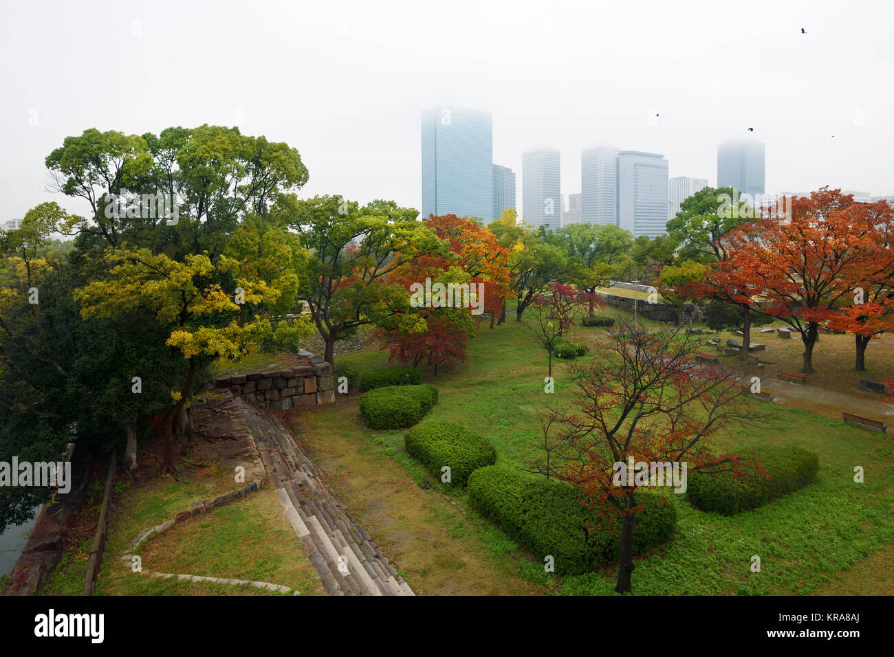 Osaka Castle Park colorful trees on a beautiful misty autumn morning with Osaka city skyline scenery of Chuo-ku financial distric high-rise towers in  Stock Photo
