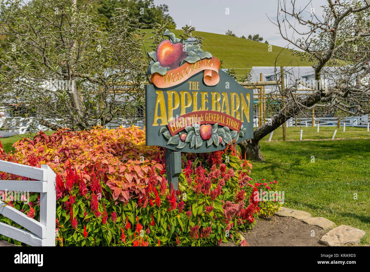 Entrance sign or signage to The Apple Barn Cider Mill and General Store in Sevierville TN, USA, a tourist attraction in Tennessee apple country. Stock Photo