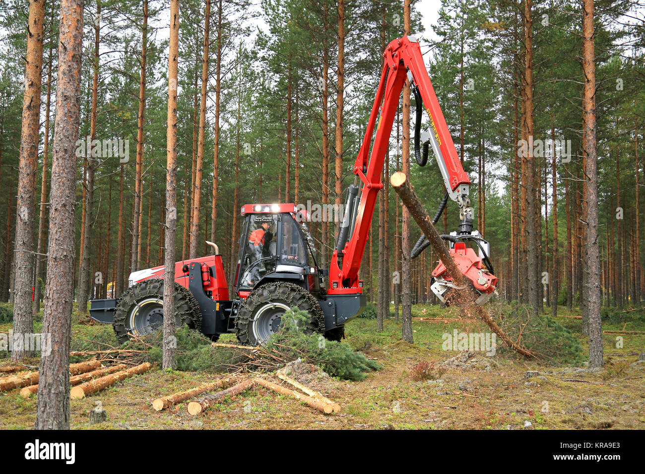 JAMSA, FINLAND - AUGUST 30, 2014:  Nisula N5 forestry harvester is thinning pine forest at a work demo by Nisula in FinnMETKO 2014. Stock Photo