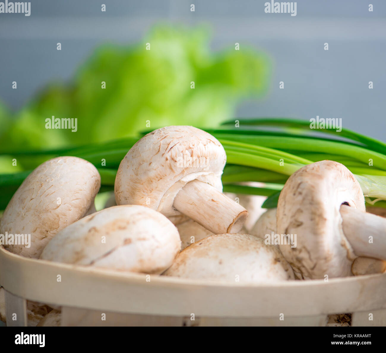 mushrooms and green onions Stock Photo Alamy