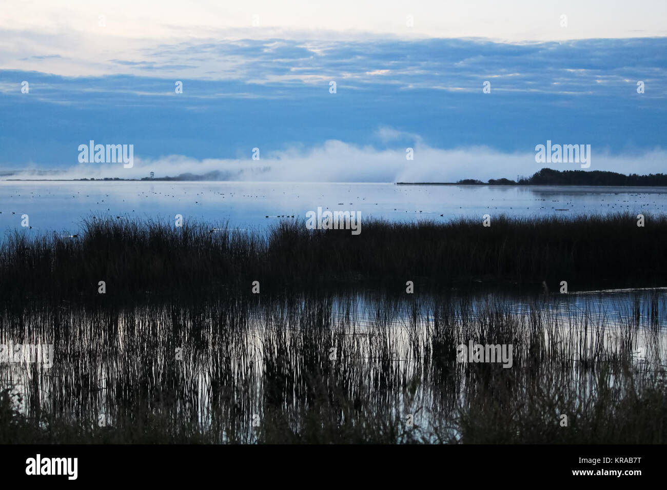 Morning mist rising off of an Alberta lake Stock Photo - Alamy