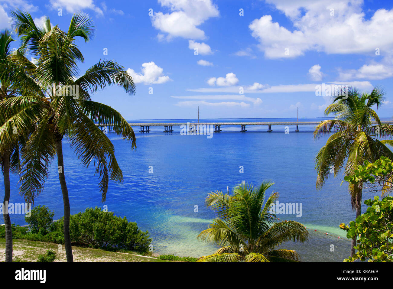 Bahia honda, florida keys hi-res stock photography and images - Page 16 -  Alamy