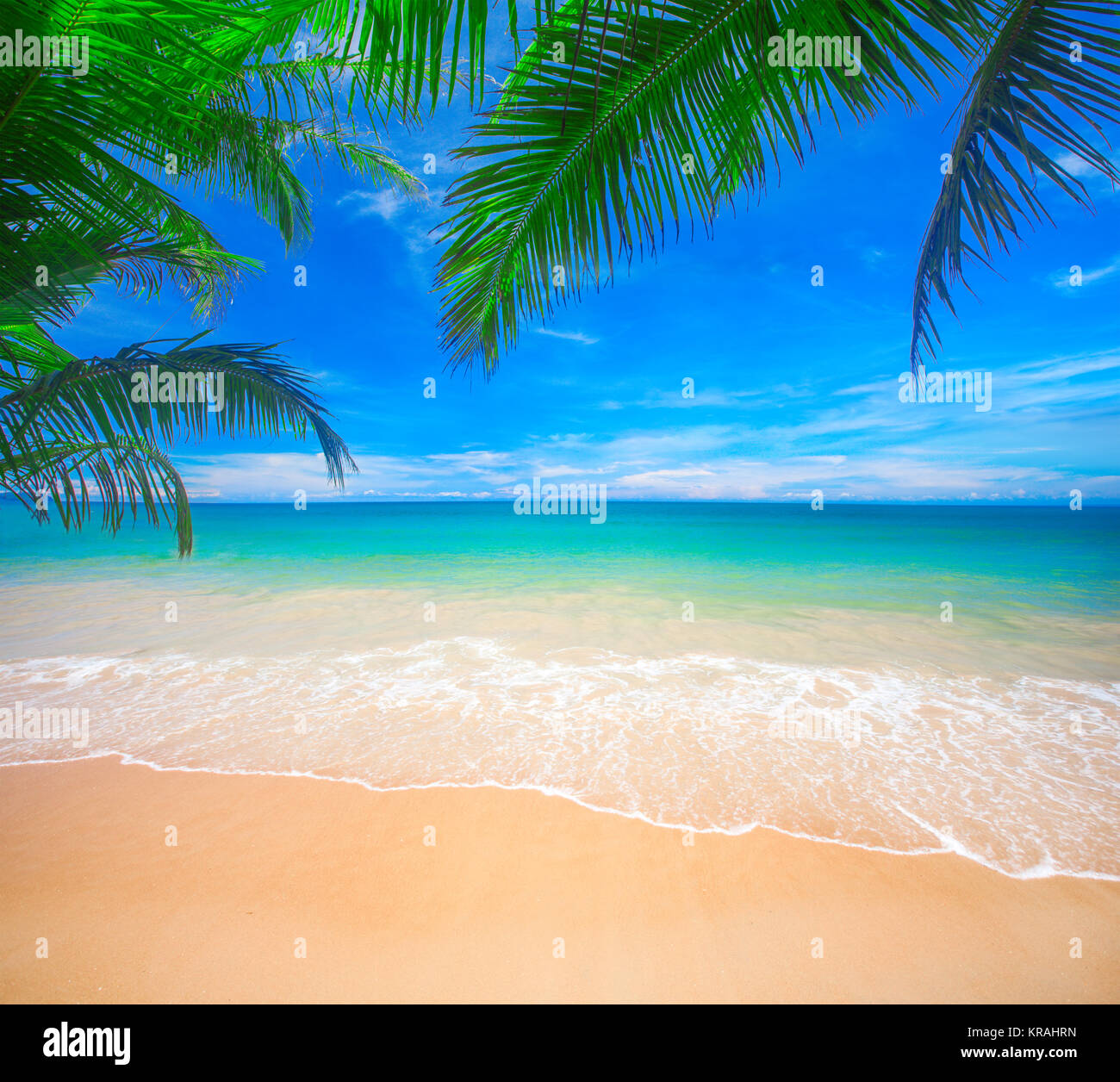 Palm and tropical beach Stock Photo - Alamy