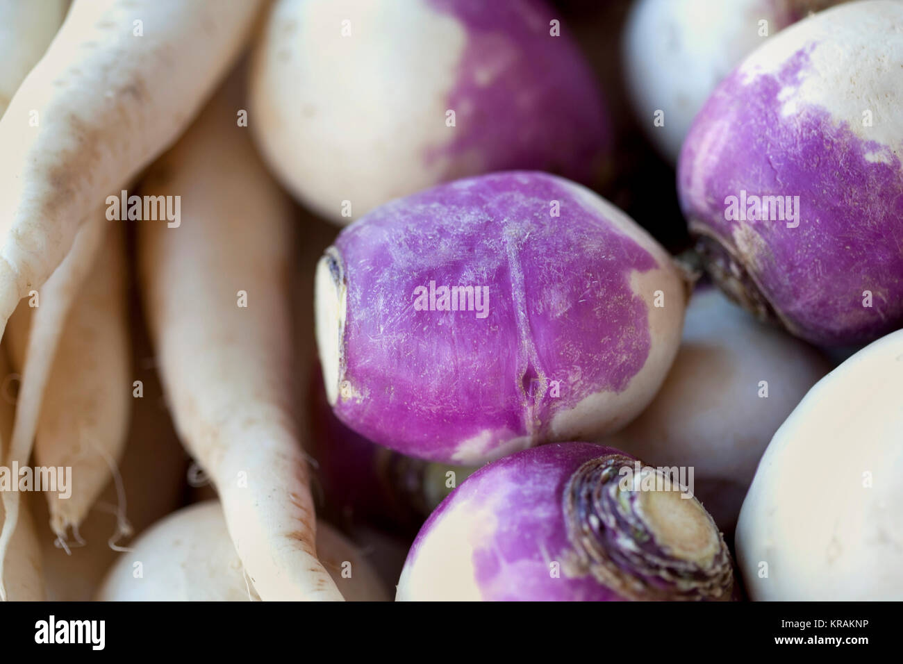 Background of turnips Stock Photo Alamy