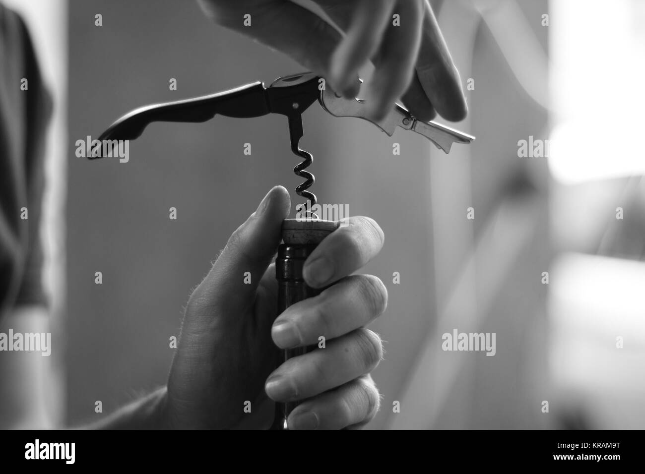 Hands opening a wine bottle with a metal corkscrew. Black and white. Stock Photo