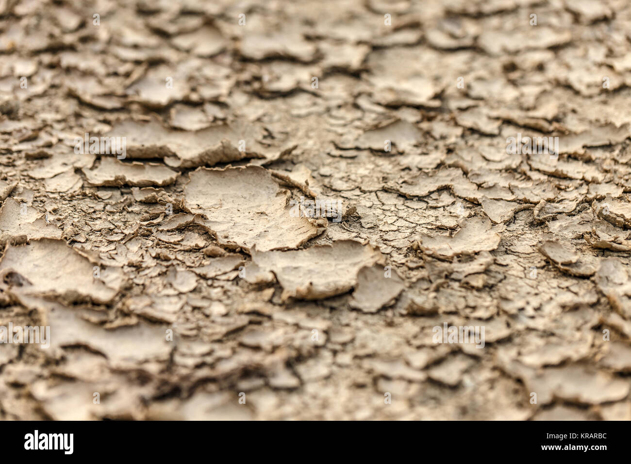 Dry ground background Stock Photo