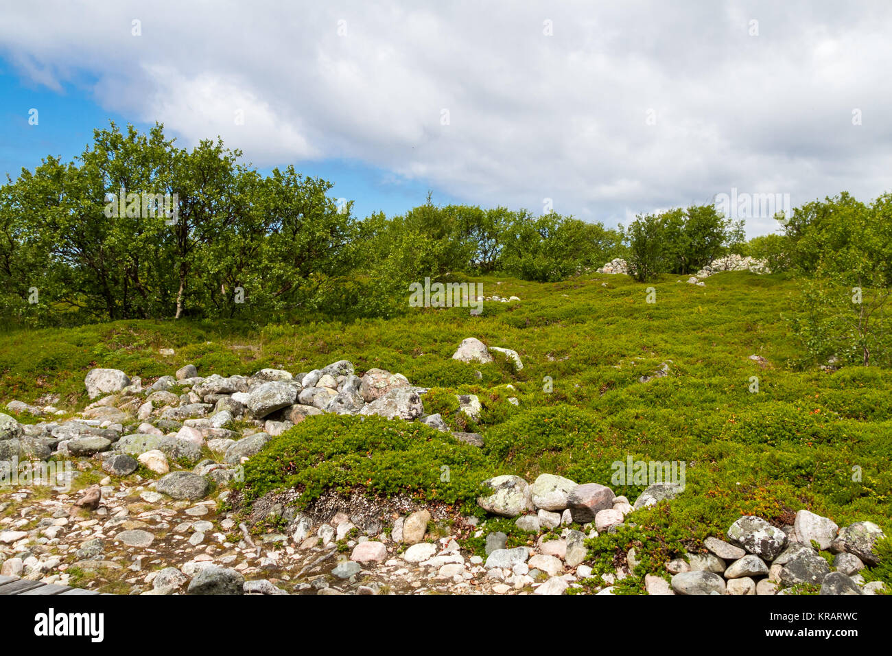 zayatsky island of solovetsky archipelago,karelia,north of russia. Stock Photo