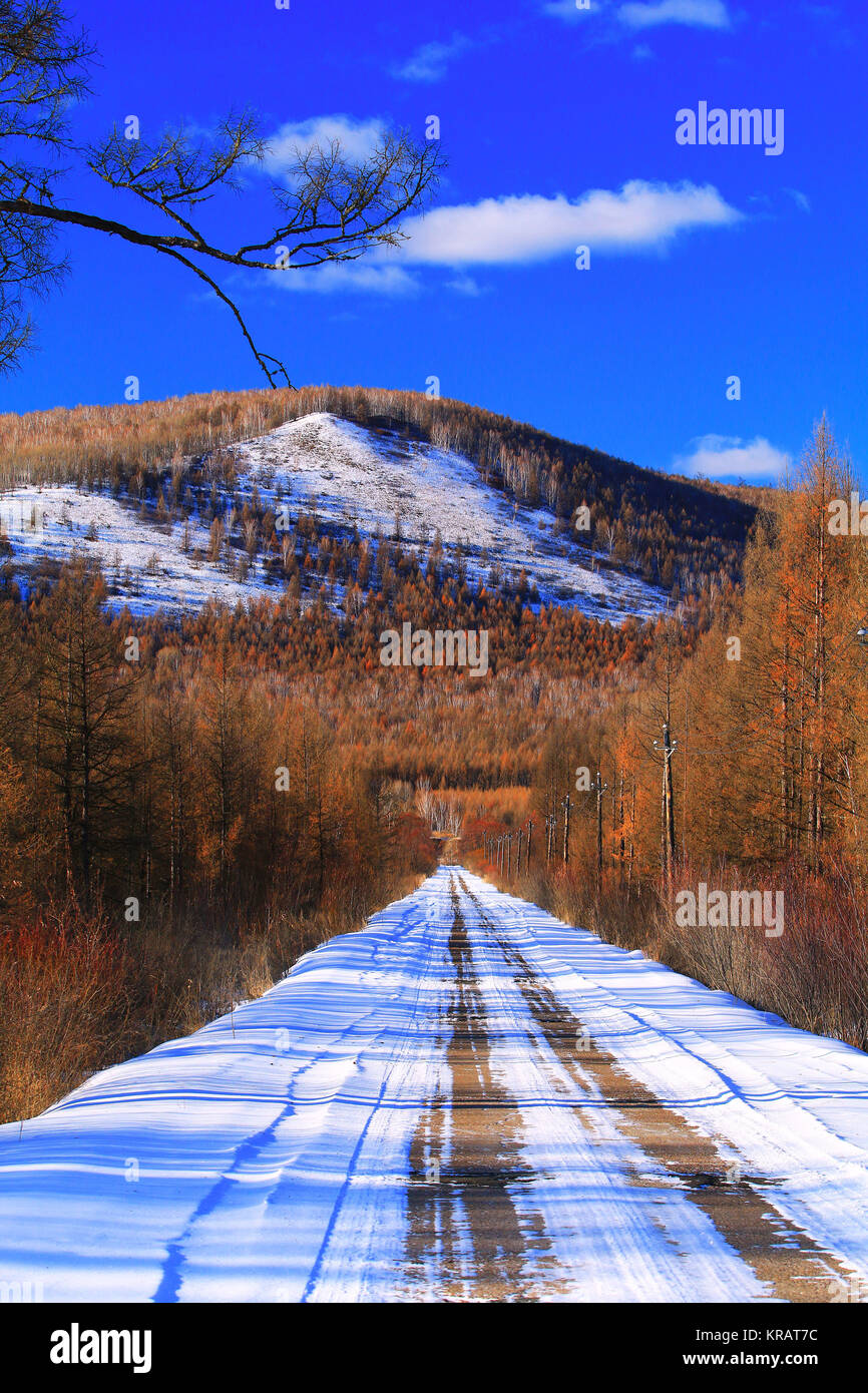 Winter forests of Greater Khingan Range,Heilongjiang Province,China Stock Photo