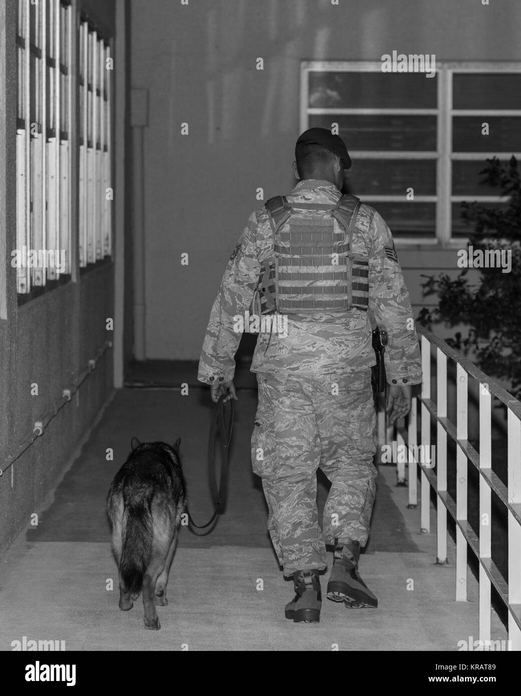 KitKat, 18th Security Forces Squadron military working dog, patrols a building with U.S. Air Force Staff Sgt. David Maestas, 18th SFS military working dog handler Dec. 12, 2017, at Kadena Air Base, Japan. The military working dog mission at the 18th Wing is to provide a physiological deterrence for anyone trying to gain access to an installation without proper authorization, patrolling the base and providing detection of explosives and drugs capabilities. (U.S. Air Force Stock Photo