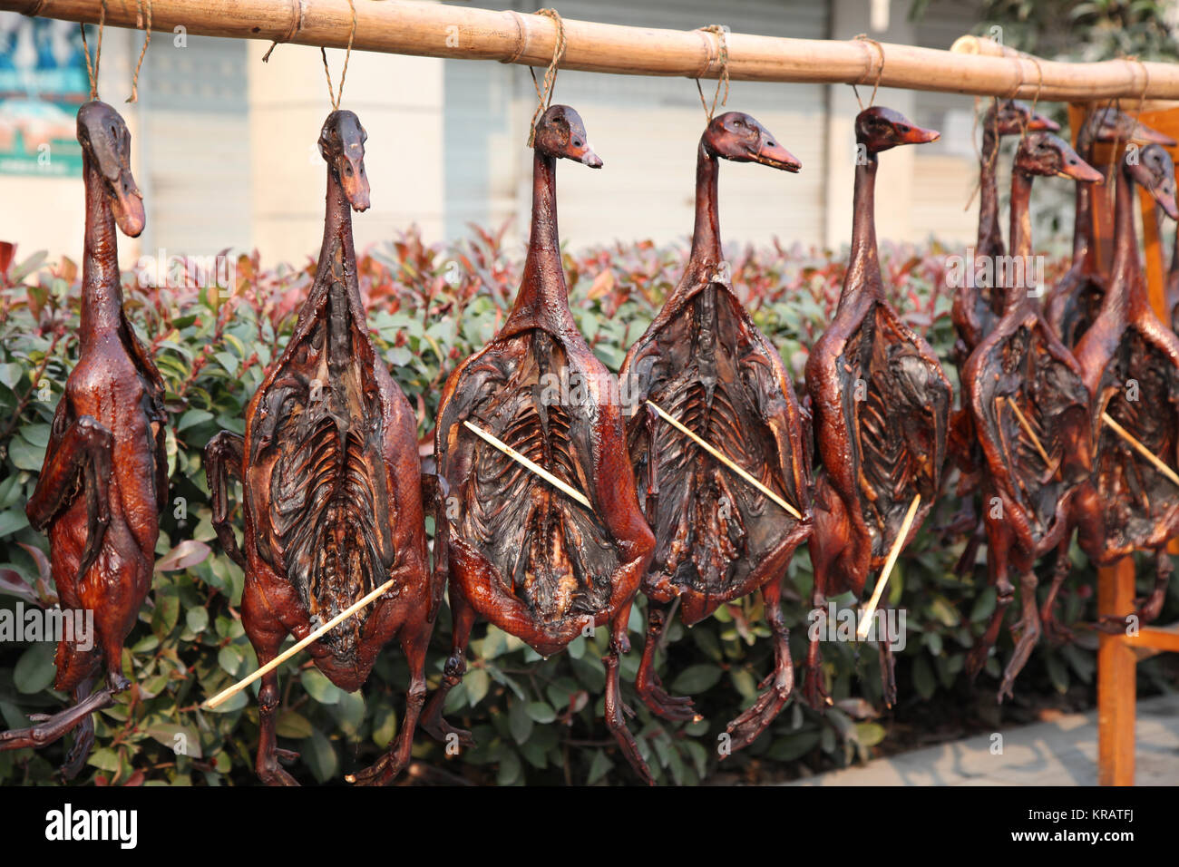 Duck in Brown Sauce Stock Photo Alamy
