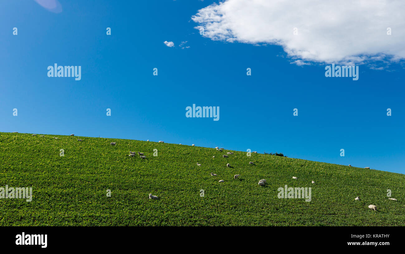 South Island View of New Zealand Stock Photo - Alamy