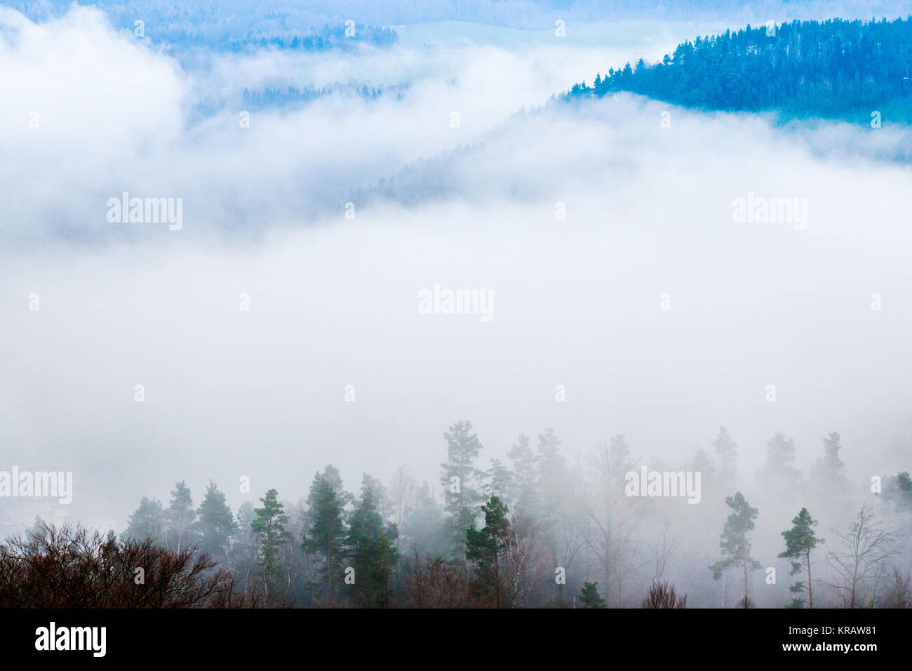 ranní mlhy v zimě, Saské Švýcarsko, Sasko, Německo / fog in the winter morning in Saxon Switzerland, Saxony, Germany Stock Photo