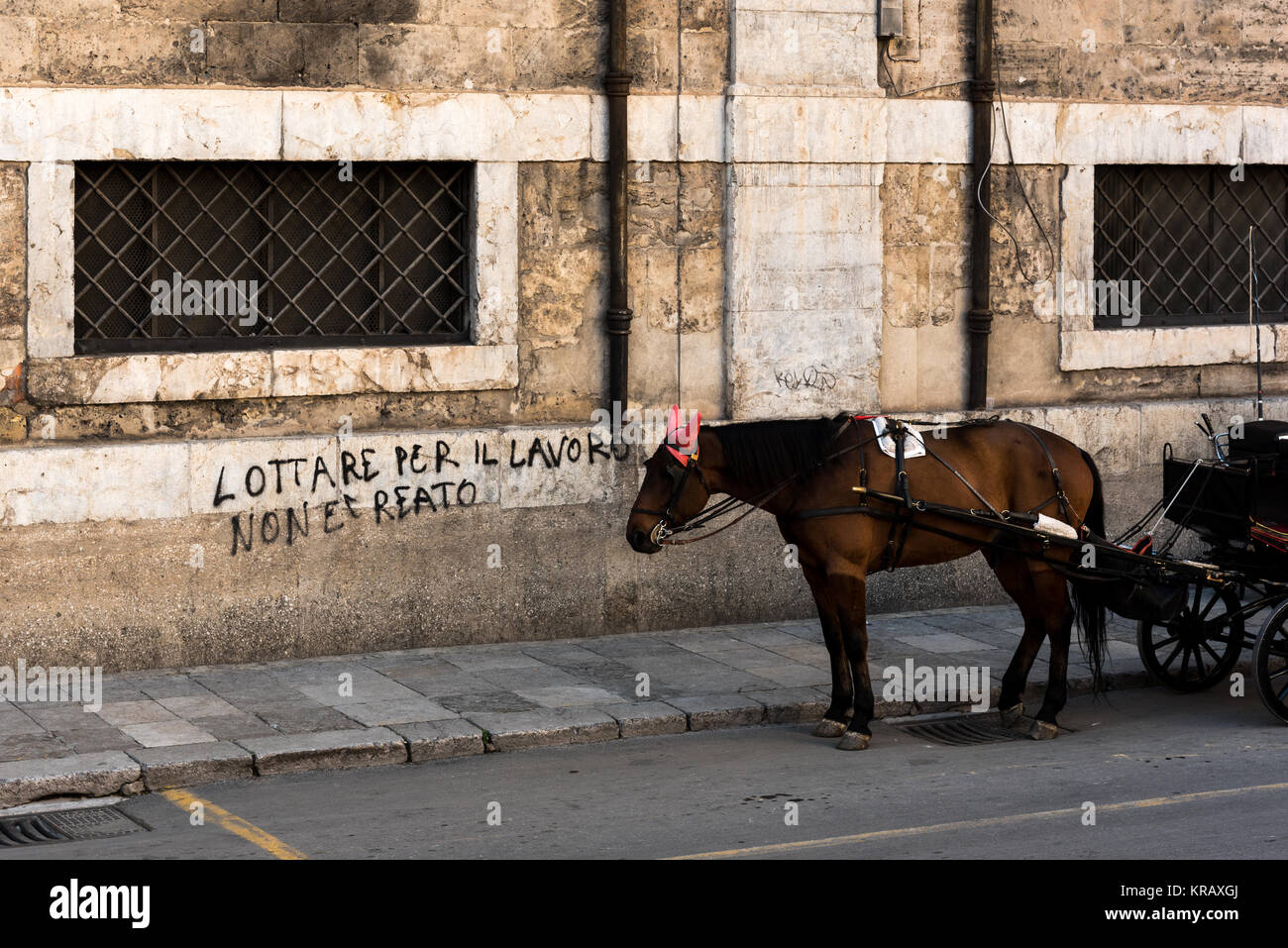 Horse with carriage and write on the wall palermo Italy Fight for job