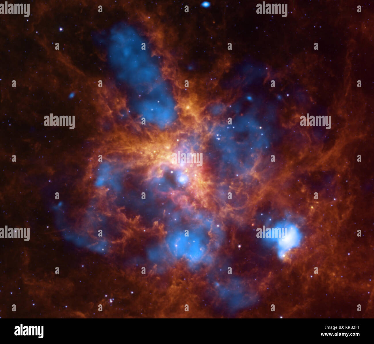 About 2,400 massive stars in the center of 30 Doradus are producing intense radiation and powerful winds as they blow off material.  Multimillion-degree gas detected in X-rays (blue) by the Chandra X-ray Observatory comes from shock fronts formed by these stellar winds and by supernova explosions. This hot gas carves out gigantic bubbles in the surrounding cooler gas and dust shown here in infrared emission from the Spitzer Space Telescope (orange). 30 Doradus - The Growing Tarantula Within Stock Photo