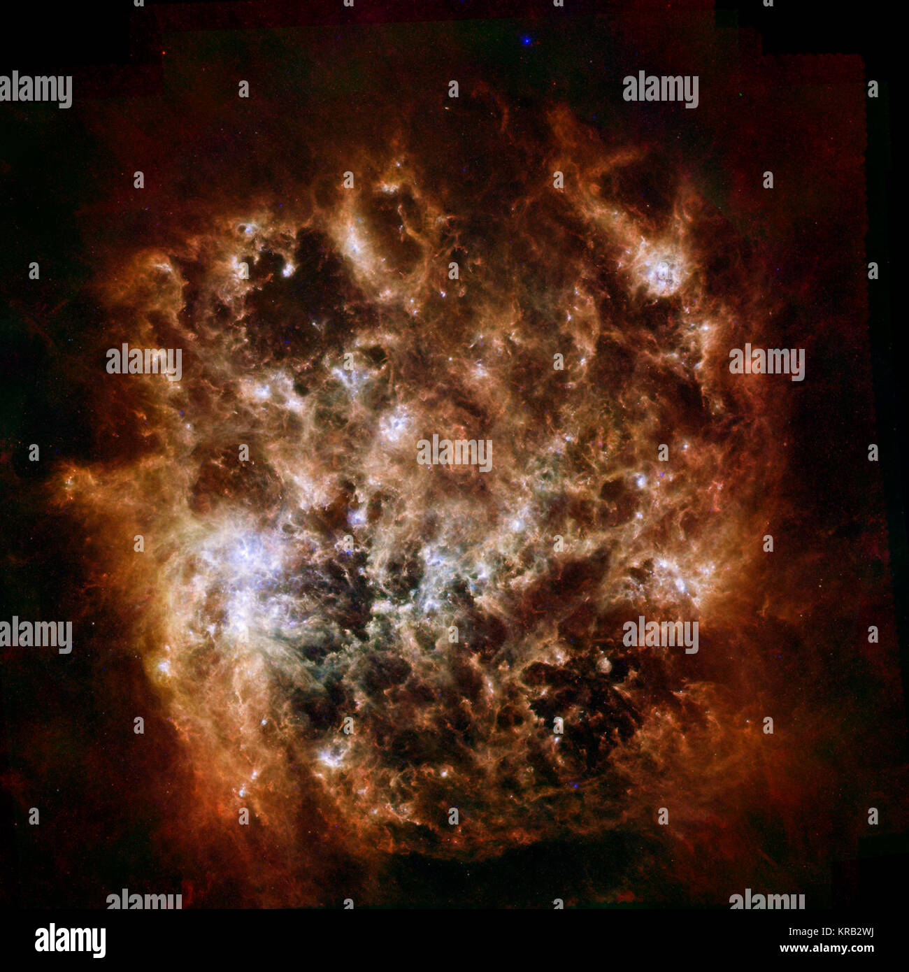 This new image shows the Large Magellanic Cloud galaxy in infrared light as seen by the Herschel Space Observatory, a European Space Agency-led mission with important NASA contributions, and NASA's Spitzer Space Telescope. In the instruments' combined data, this nearby dwarf galaxy looks like a fiery, circular explosion. Rather than fire, however, those ribbons are actually giant ripples of dust spanning tens or hundreds of light-years. Significant fields of star formation are noticeable in the center, just left of center and at right. The brightest center-left region is called 30 Doradus, or  Stock Photo