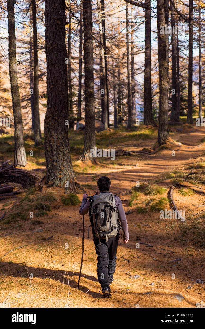 Young active man with backpack and wooden walking stick hiking