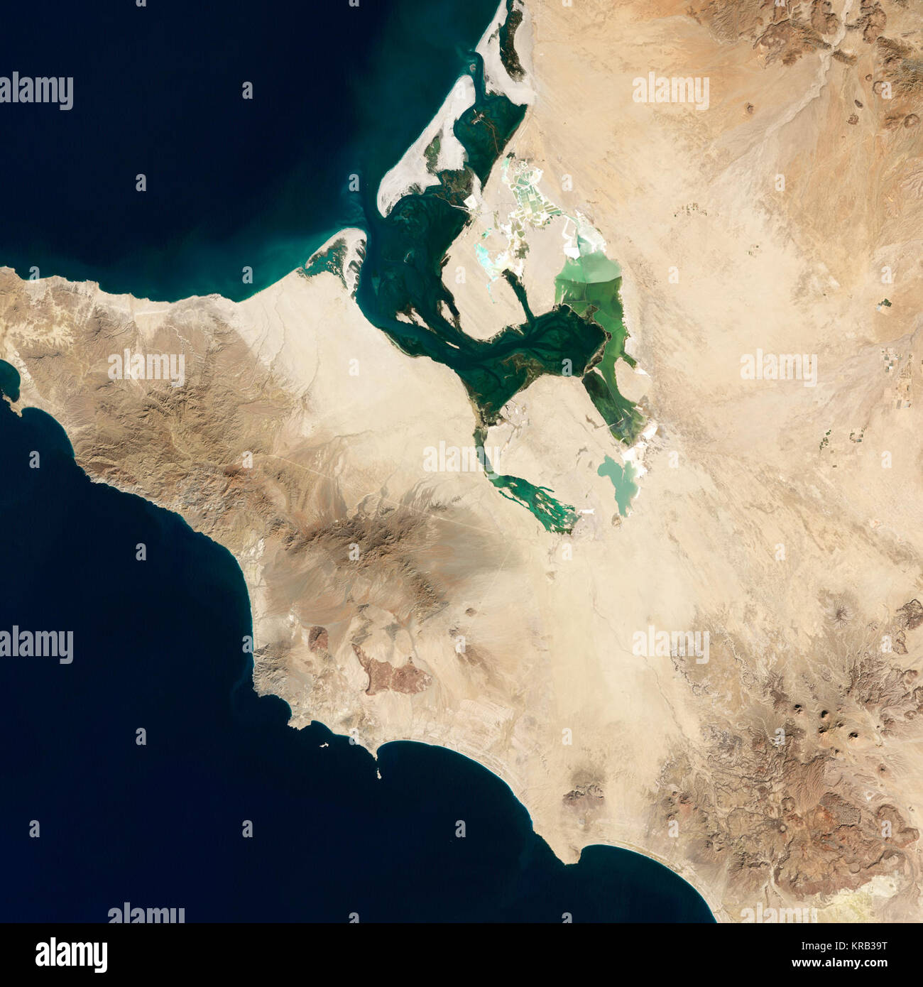 Biosphere reserve of el vizcaino hi-res stock photography and images ...