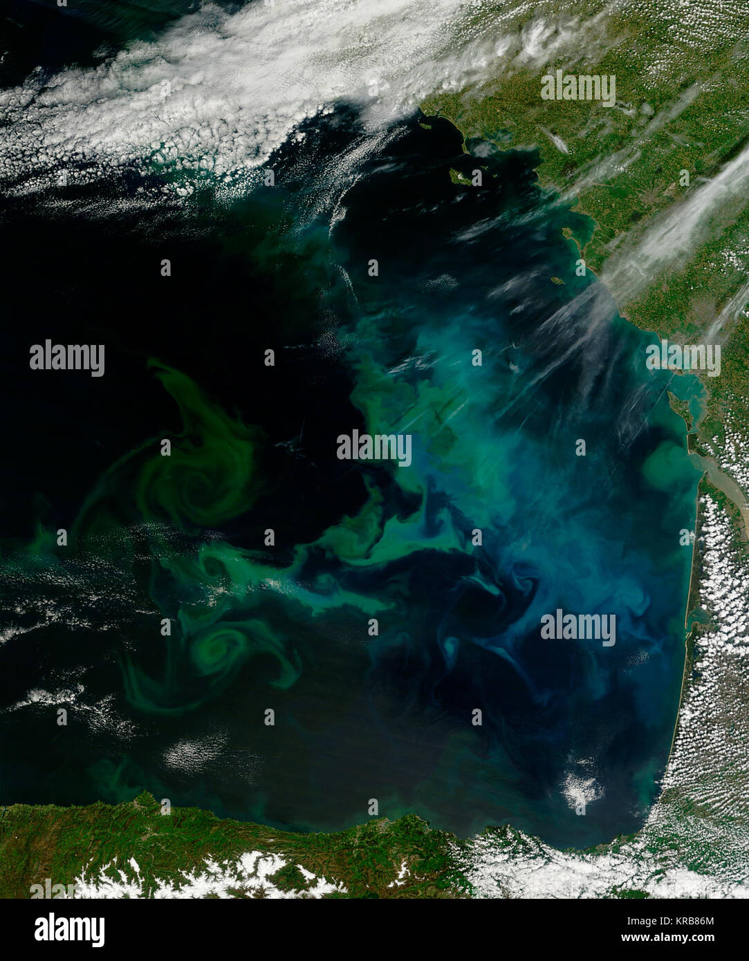 Swirls in the Waters off France  Springtime  brought a substantial and long-lasting bloom of phytoplankton in the Bay of Biscay, off the western coast of France. Swirls of green, turquoise, and cyan on the water surface show the location of these microscopic, plant-like organisms, while also tracing the currents and eddies that mix them.  NASA satellite captured this natural-color image of a phytoplankton-filled Bay of Biscay in the spring of 2013. The Moderate Resolution Imaging Spectroradiometer (MODIS) on the Terra satellite captured the top image on May 4.  Read more, high res: http://eart Stock Photo