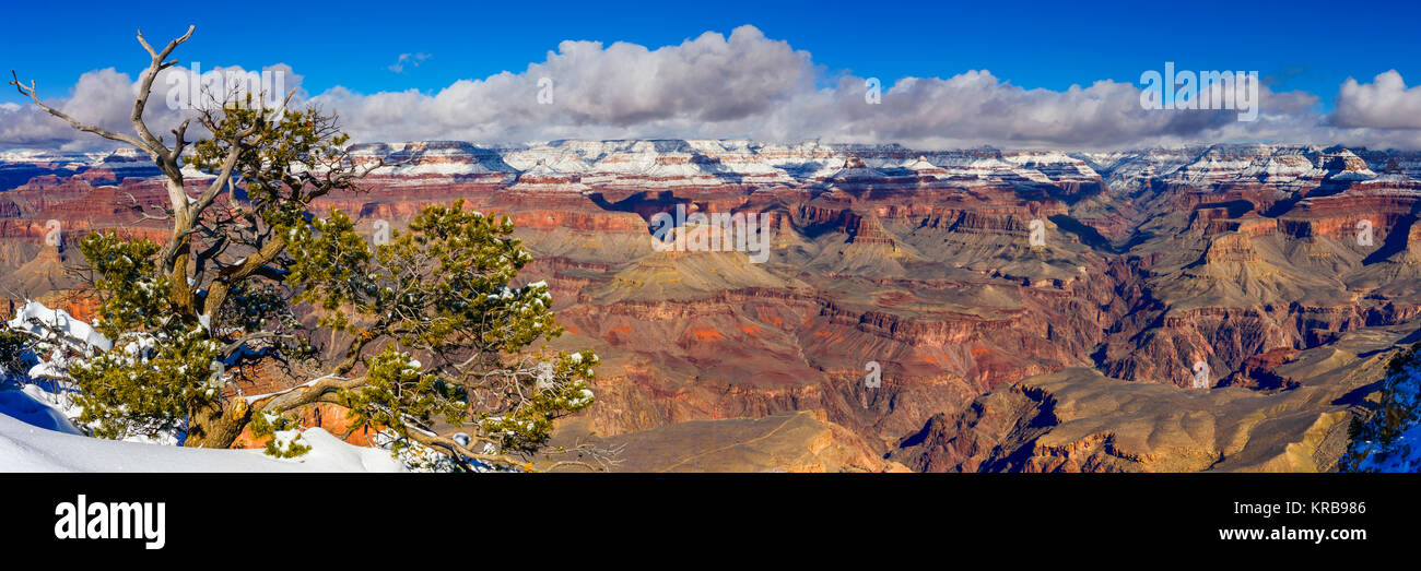 Grand Canyon National Park, South Rim at Winter, Arizona. Stock Photo