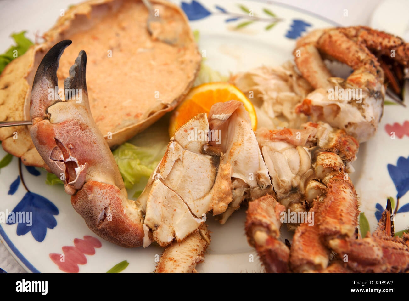 Fresh crab served at Marinha Grande, Portugal. The claw and shell are