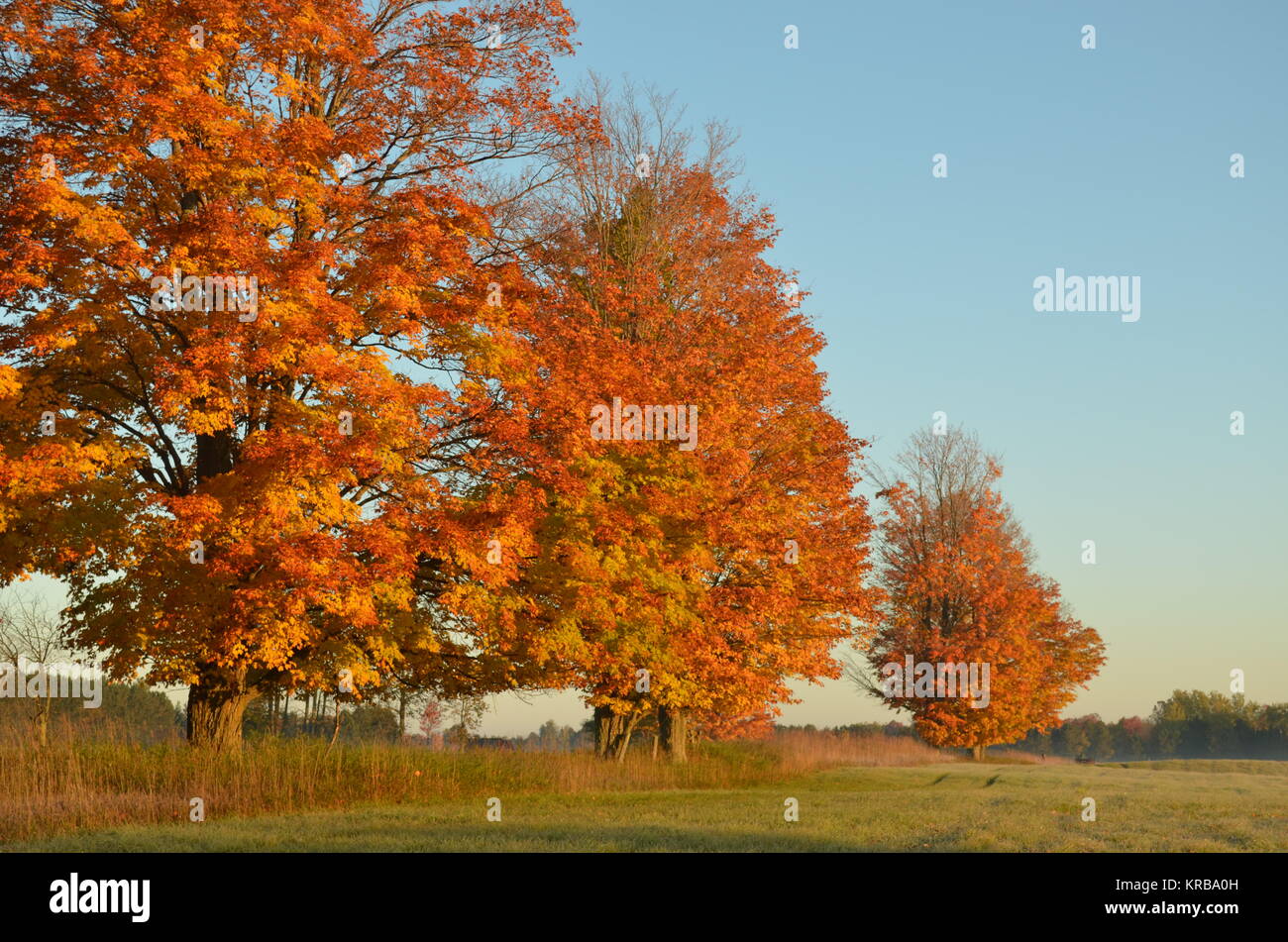 Upper peninsula fall hi-res stock photography and images - Alamy