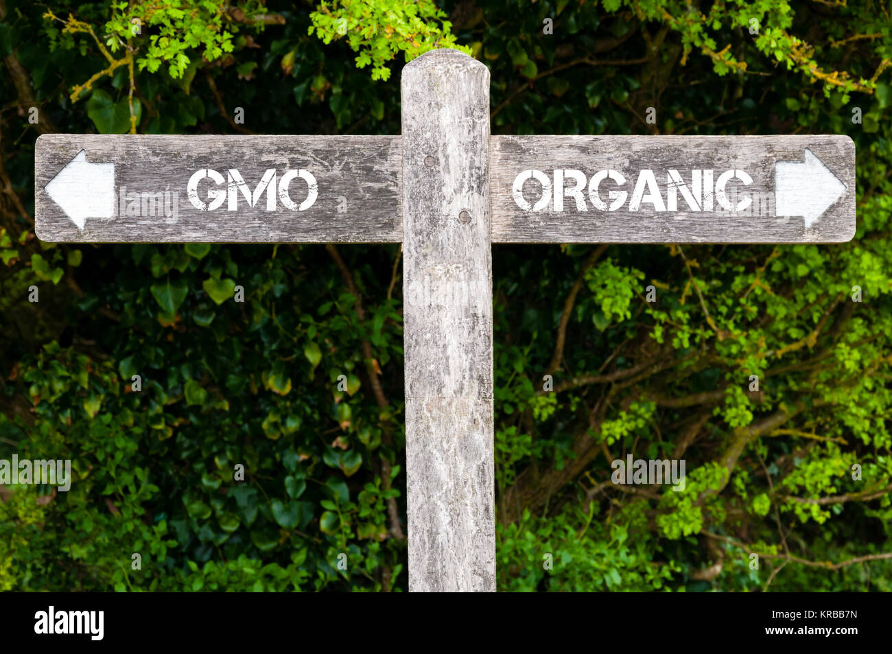 GMO versus Organic directional signs Stock Photo - Alamy