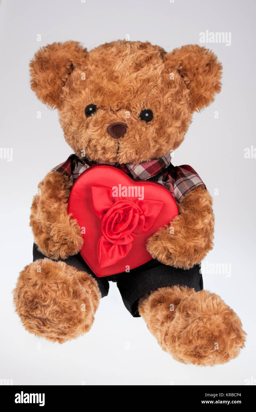 A cute teddy bear holding a Red Heart shaped box isolated on a white ...