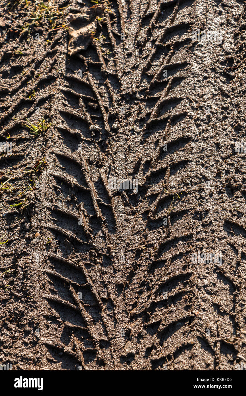 Tire track on the wet and muddy ground Stock Photo