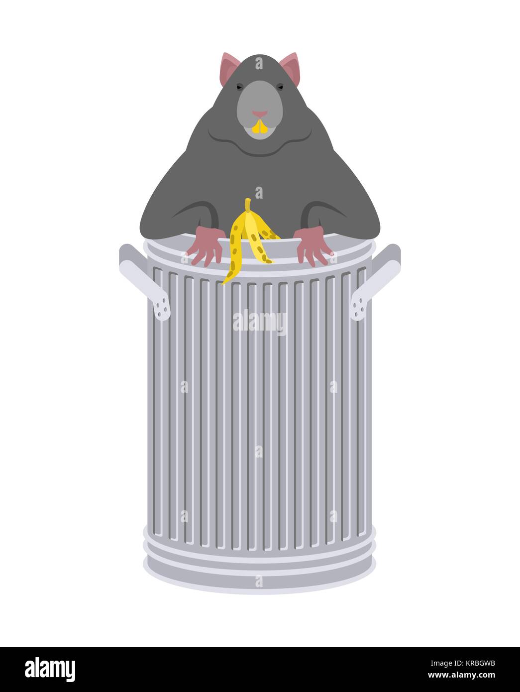Rat in garbage can. Rodent in trash. big mouse in Dumpster. Vector