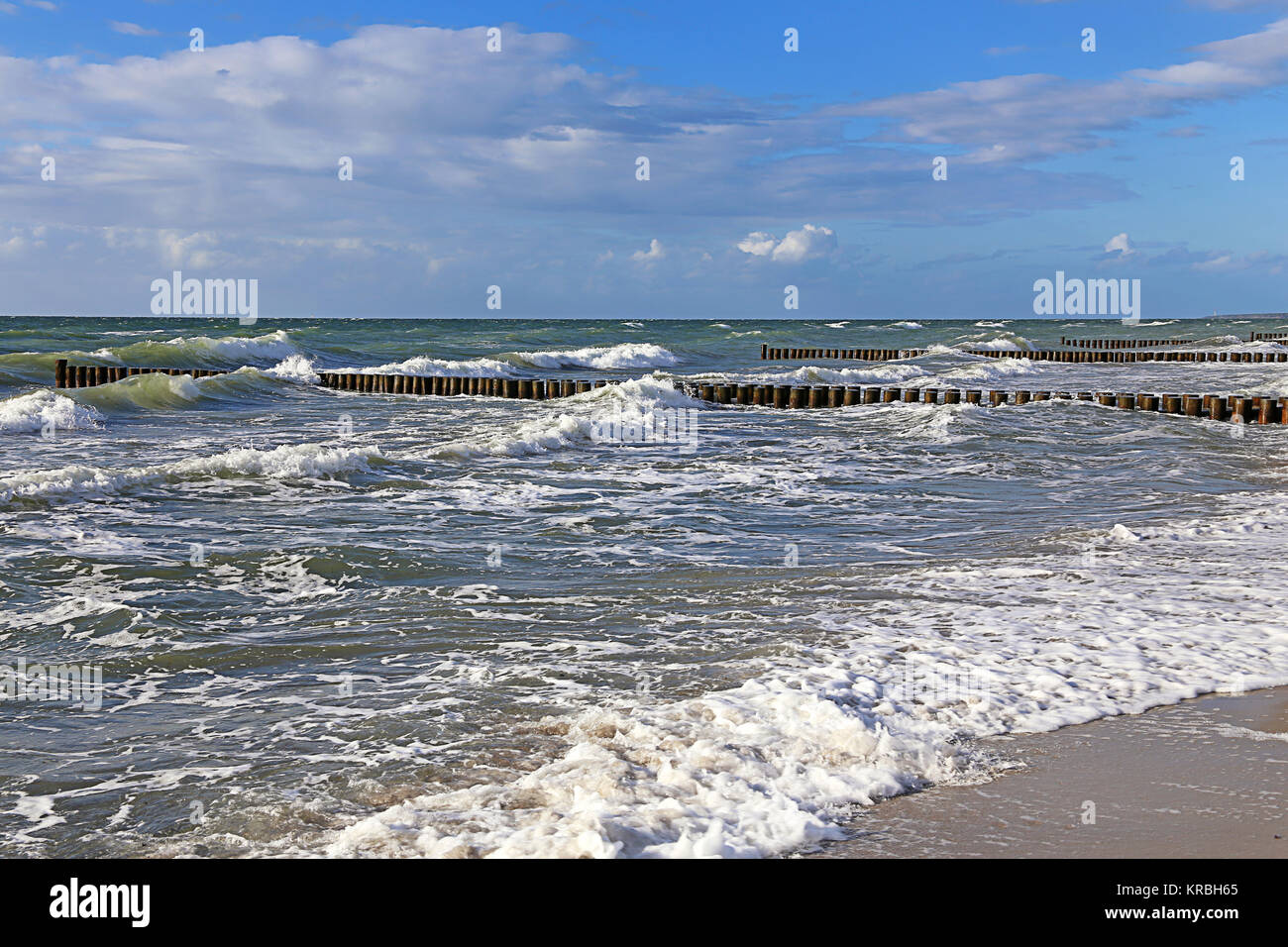 groynes on the baltic sea beach in ahrenshoop Stock Photo