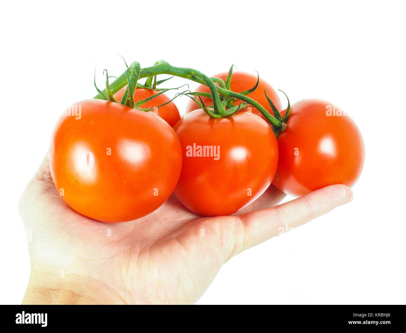 Person holding a bunch of tomatoes Stock Photo Alamy