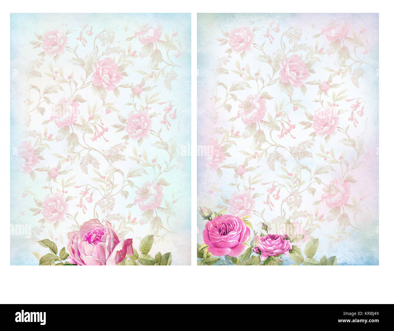 Shabby chic backgrounds with roses Stock Photo - Alamy