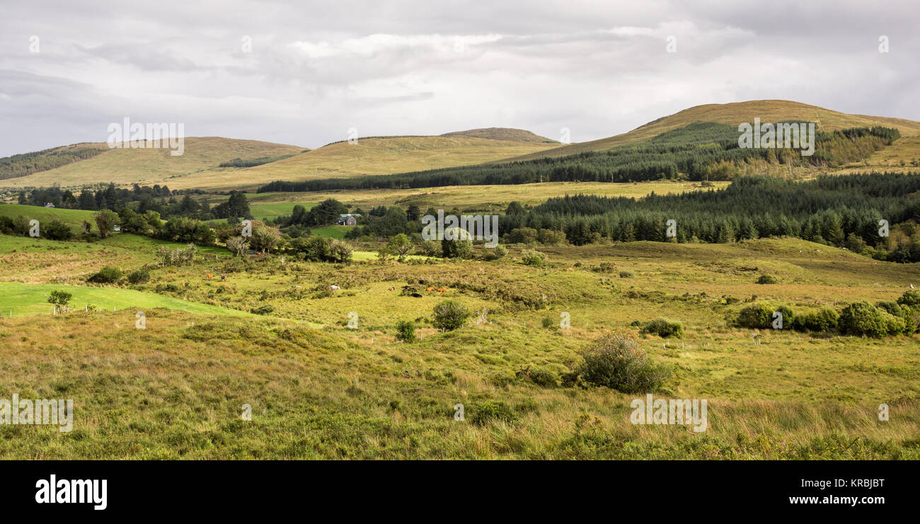 Pasture fields, moorland and forest plantations on the rolling hills of