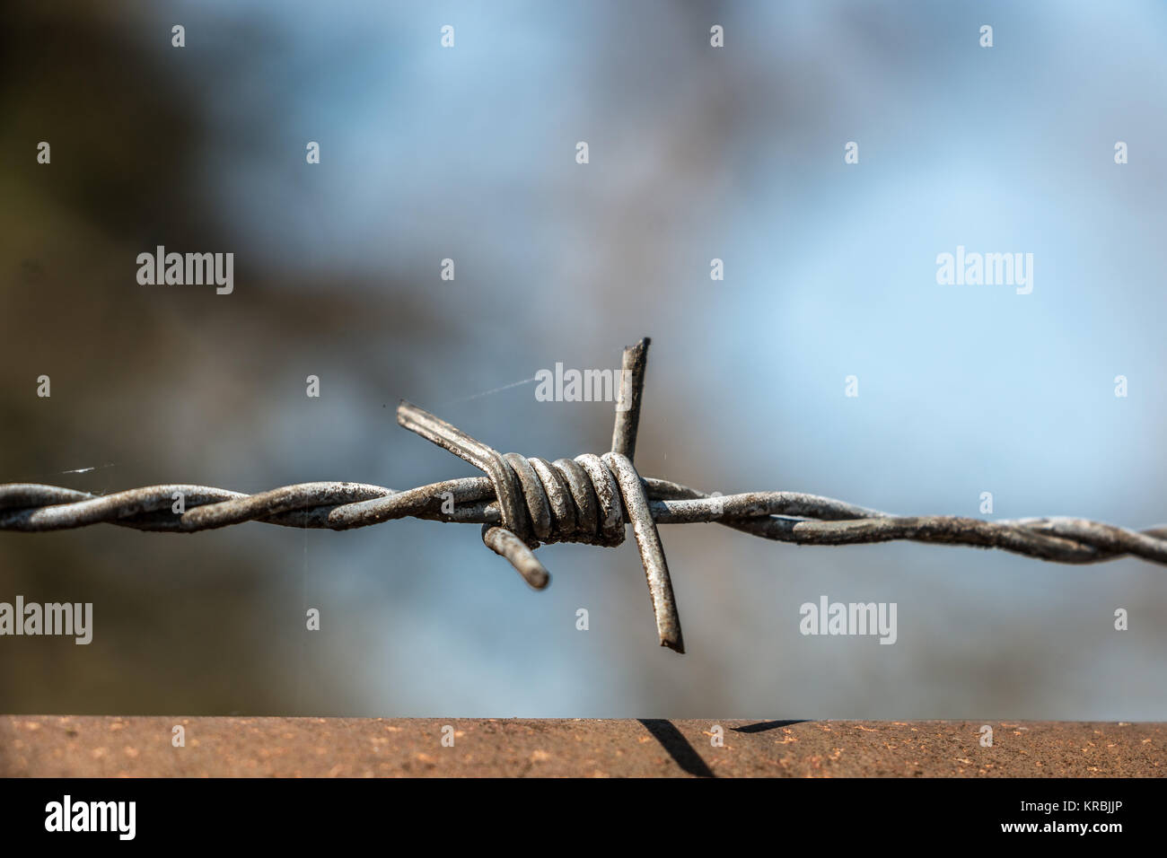 Barbed wire fence made of steel for protection Stock Photo