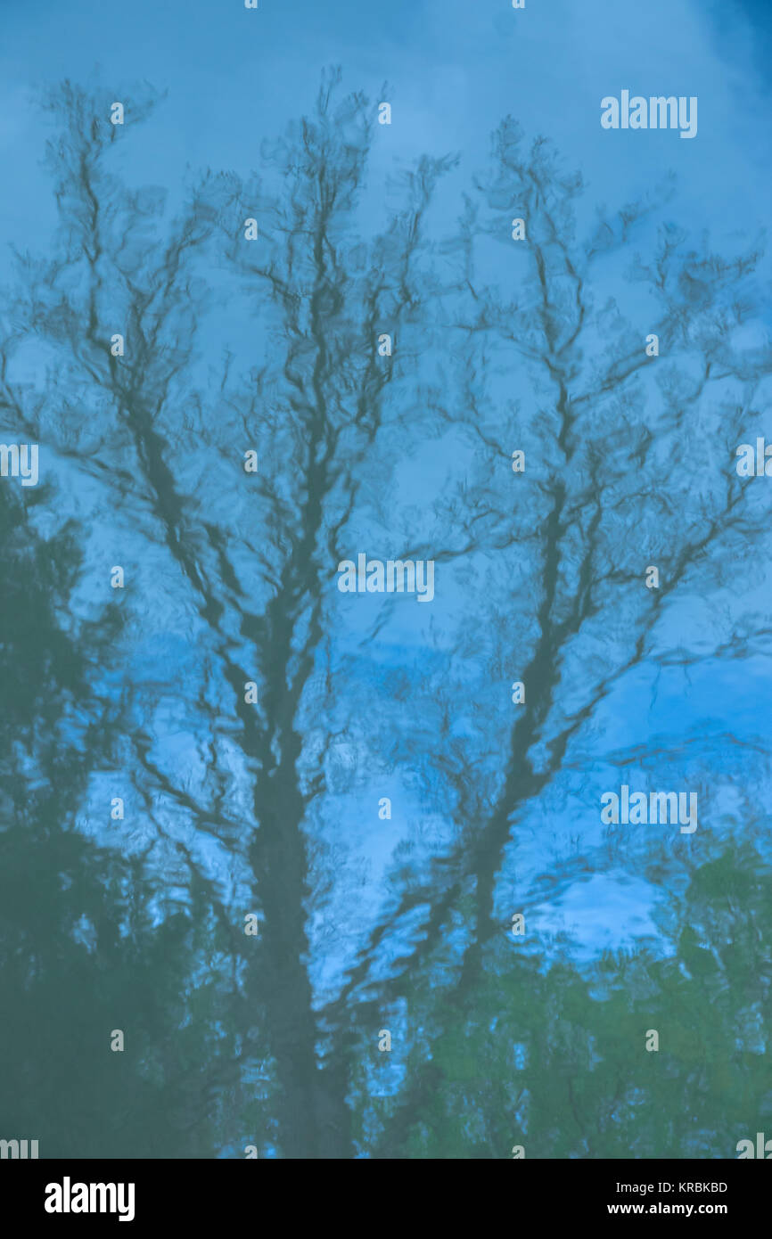 Blue reflections of trees and the blue sky in der lake Stock Photo - Alamy