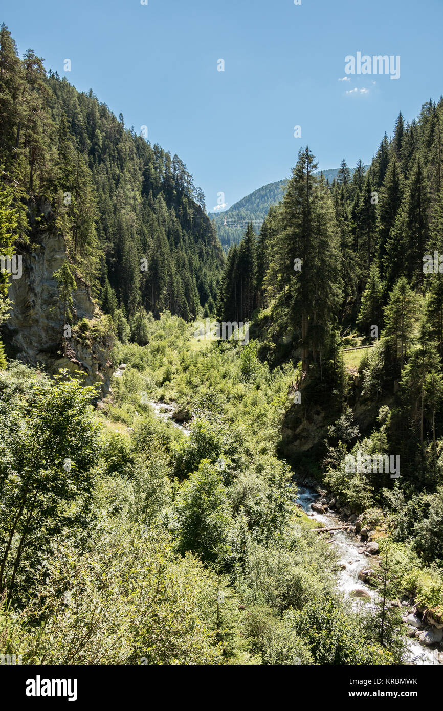 Wild creek, trees and big rocks in the canyon Stock Photo