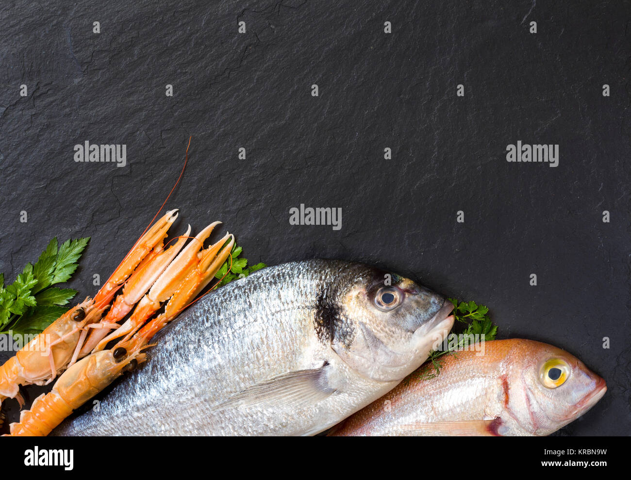 Fresh fish and seafood Stock Photo Alamy