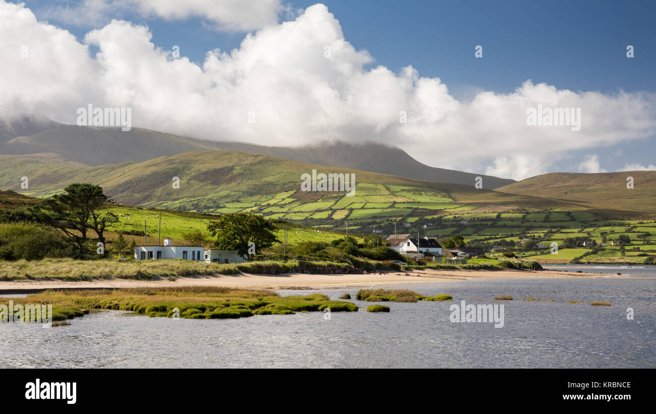 Brandon Mountain, the highest peak on Dingle Peninsula, rises from the shores of Cloghane Estuary on Brandon Bay in the west of Ireland's County Kerry Stock Photo