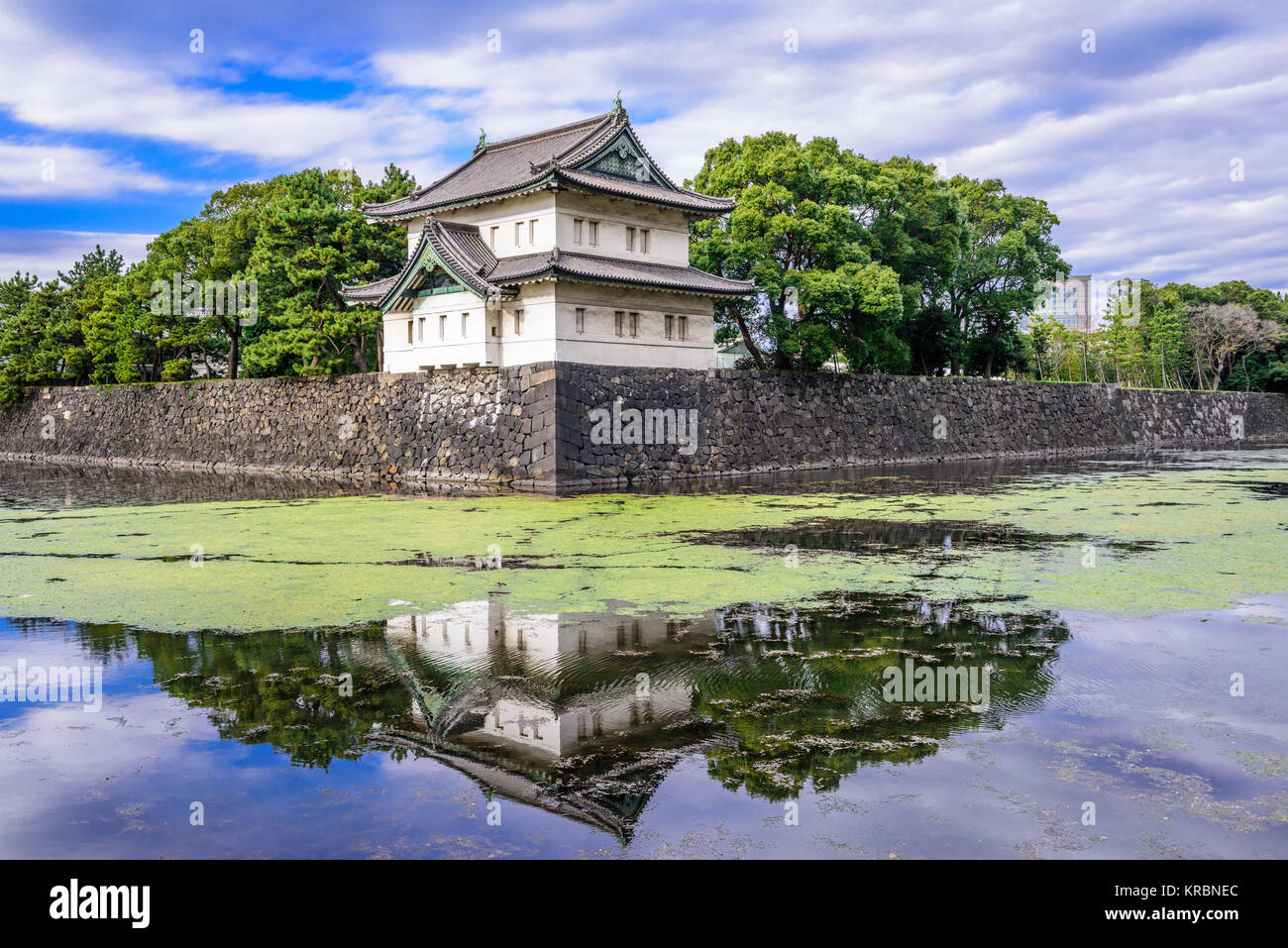 Tokyo, Japan at the Imperial Palace moat. Stock Photo