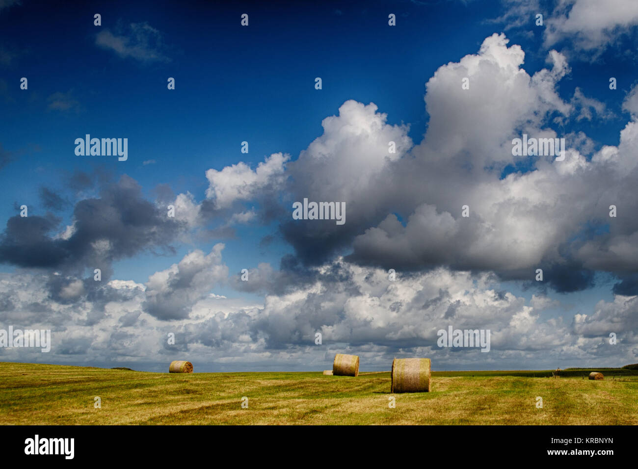 field after harvest Stock Photo - Alamy