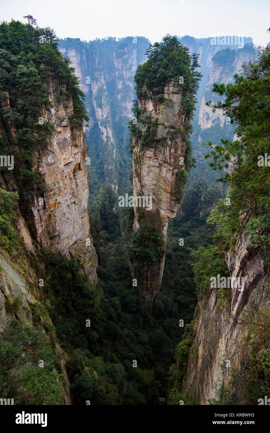 Zhangjiajie National Forest Park, Hunan, China Stock Photo