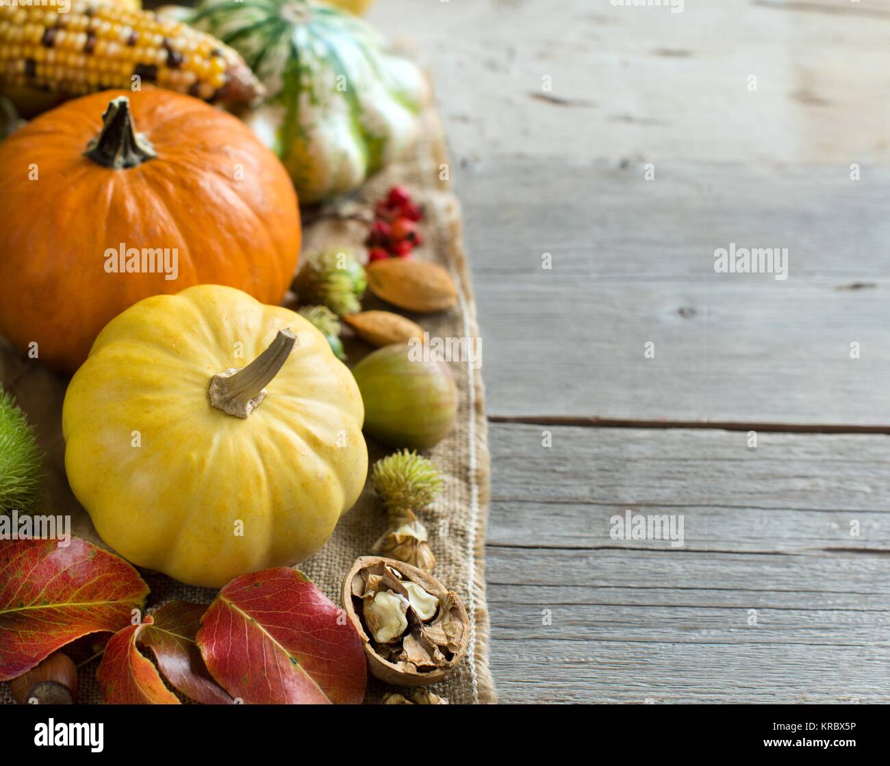 Autumn background with pumpkins Stock Photo - Alamy