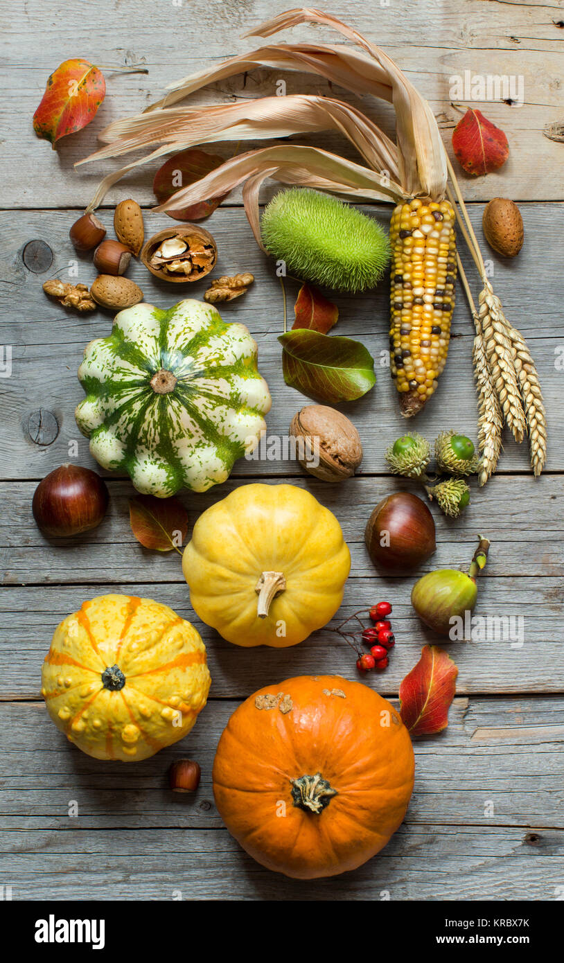 Autumn background with pumpkins Stock Photo - Alamy