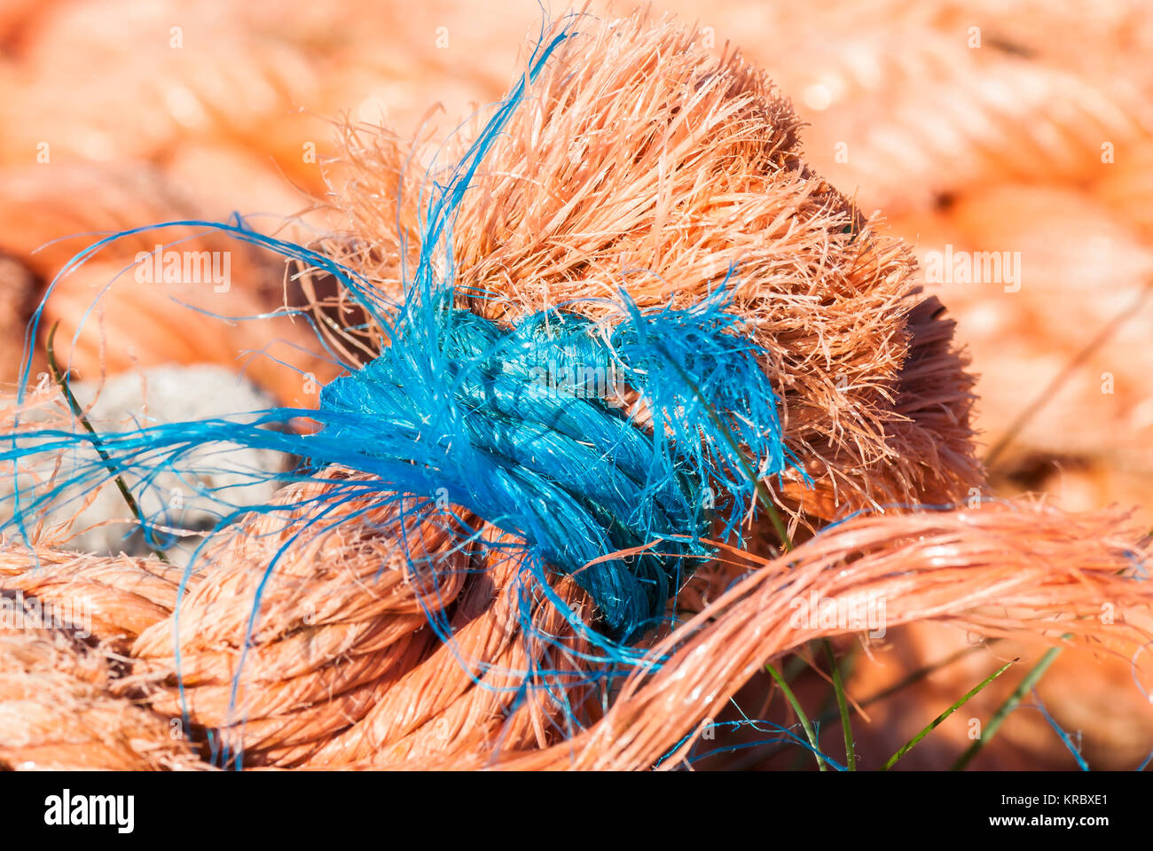 A close up image of blue nylon cord used as whipping on the end of orange colour nylon rope. May 2008 Stock Photo