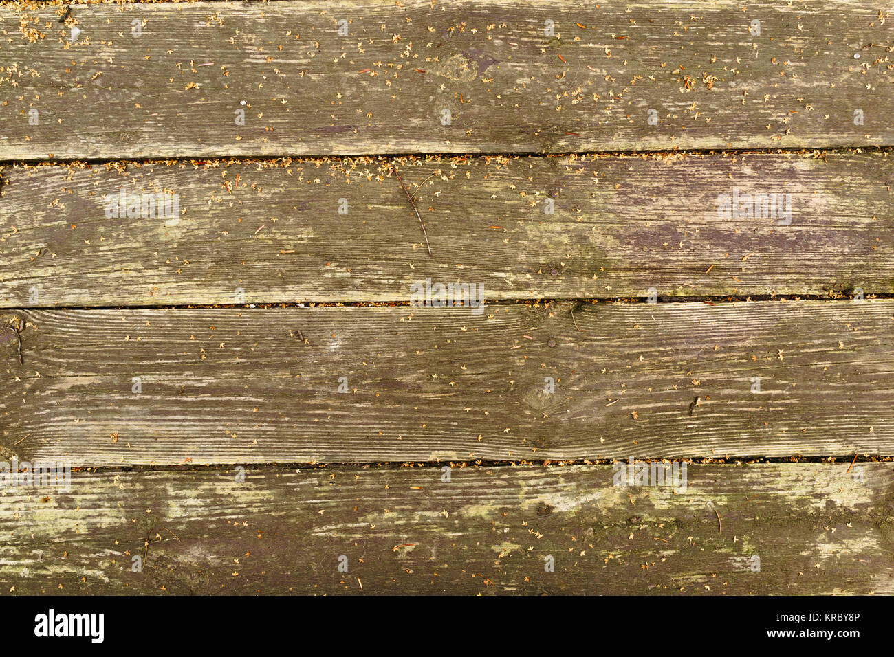 Wet boards on the floor Stock Photo Alamy