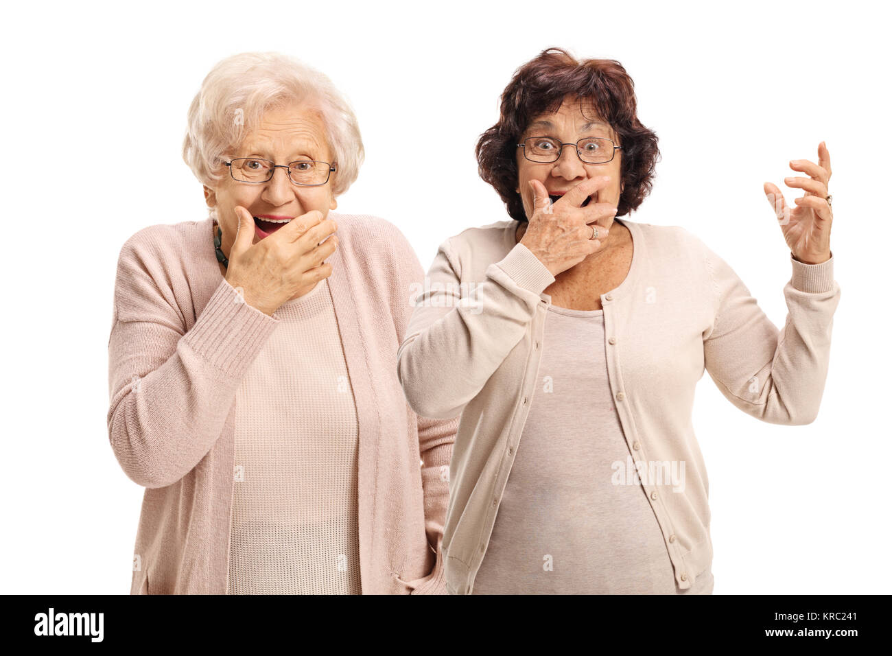 Дамы грязные разговоры. 2 Пожилые женщины. Сплетницы дамы пожилые. Двое пожилых педагогов. Пожилая женщина на белом фоне Мем.