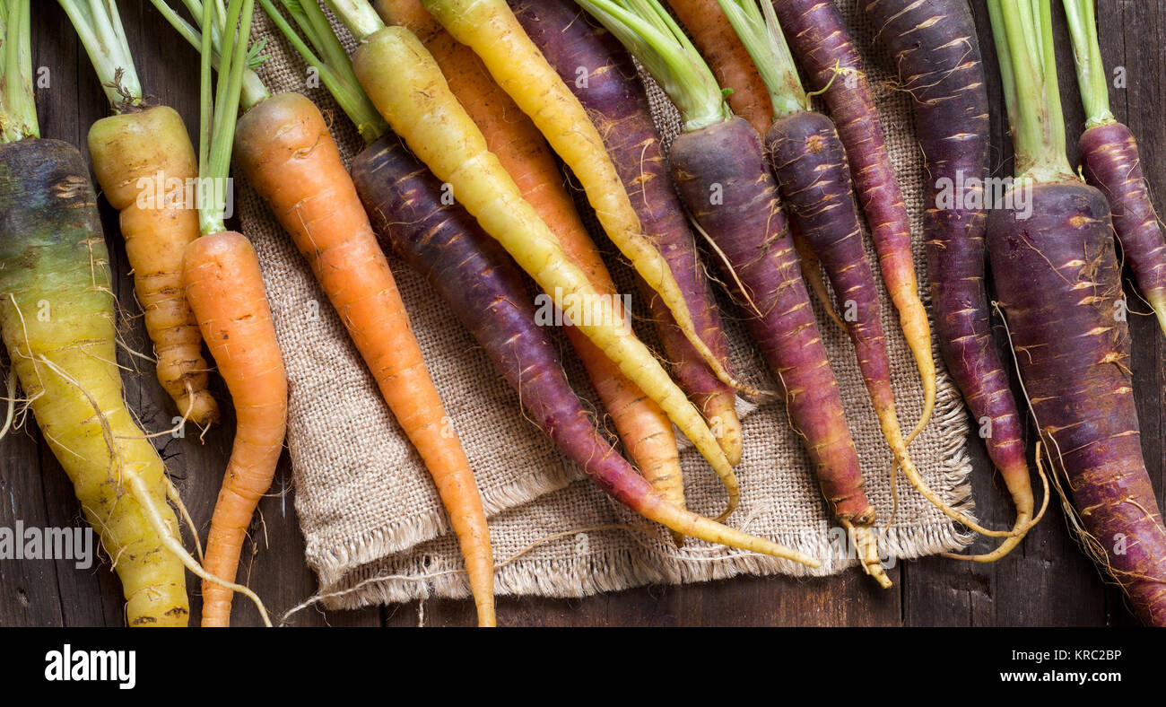 Fresh organic rainbow carrots Stock Photo Alamy