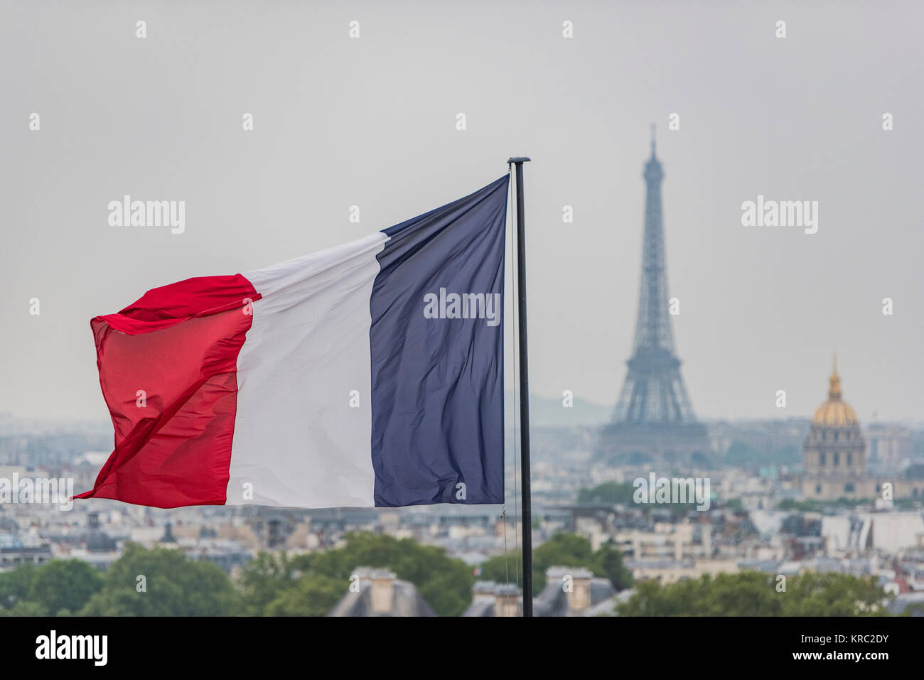 French flag and Eiffel Tower in Paris Stock Photo Alamy