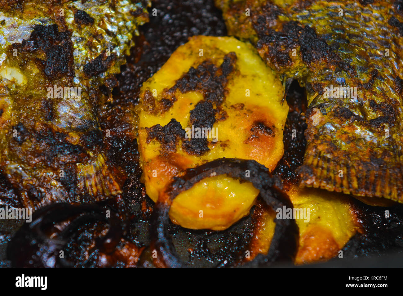 homemade grilled tilapia fish Stock Photo - Alamy
