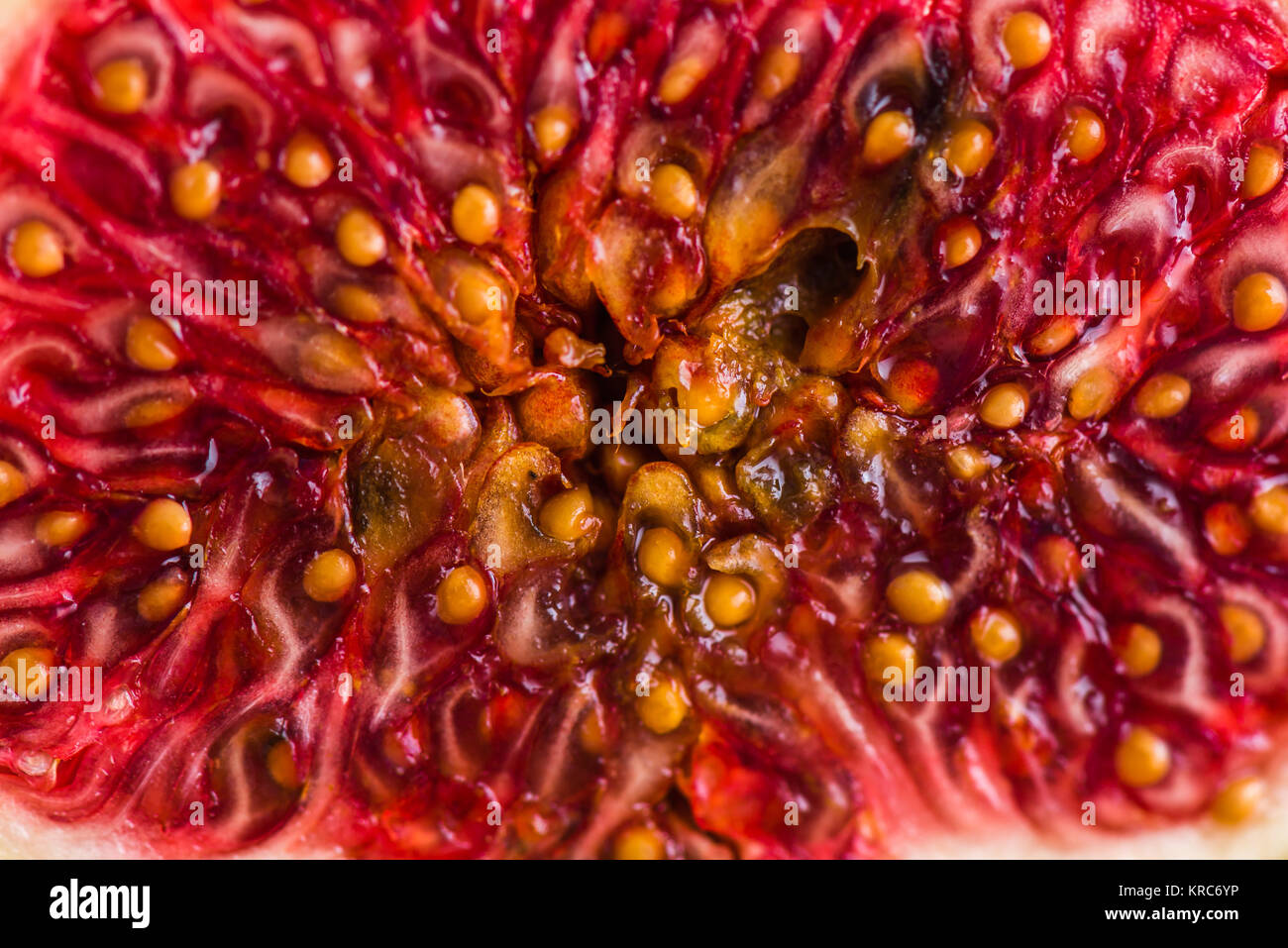 гранада инжир. червяки в инжире под микроскопом. инжир и осы. инжир в разрезе. маракуйя гранат инжир.